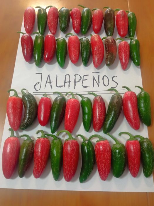 Pimentas jalapeno primium