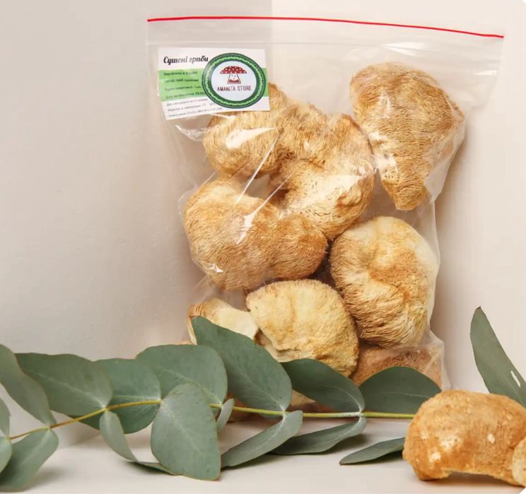 Їжочик гребінчастий, Ежовик, Єжовик, Lion’s mane (Hericium erinaceus)