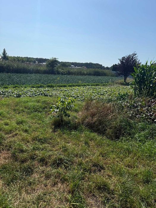 Sulęcinek działka budowlana 1750m2