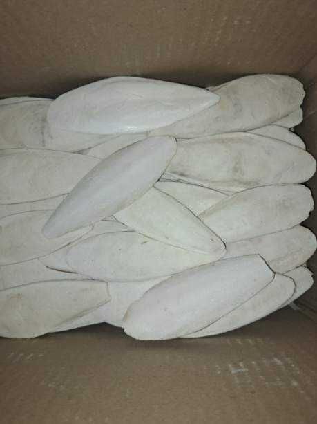 Sepia mątwa wapno dla papug ptaków ślimaków 0,5 kg