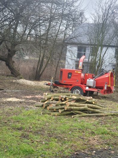 Tanio,wycena gratis.Wycinka drzew trudnych,uslugi mulczerem i rebakiem