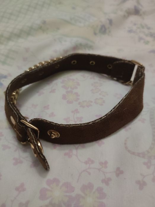 Нашійник на кота, чи маленьку собаку