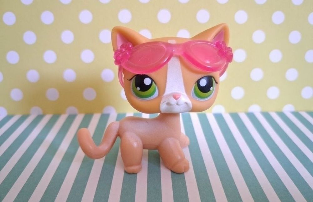 Littlest Pet Shop LPS unikatowy kot Shorthair #72 pop