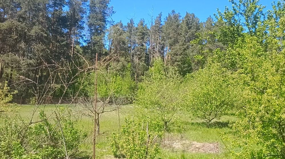 Продається земельна ділянка в с.Хлепча