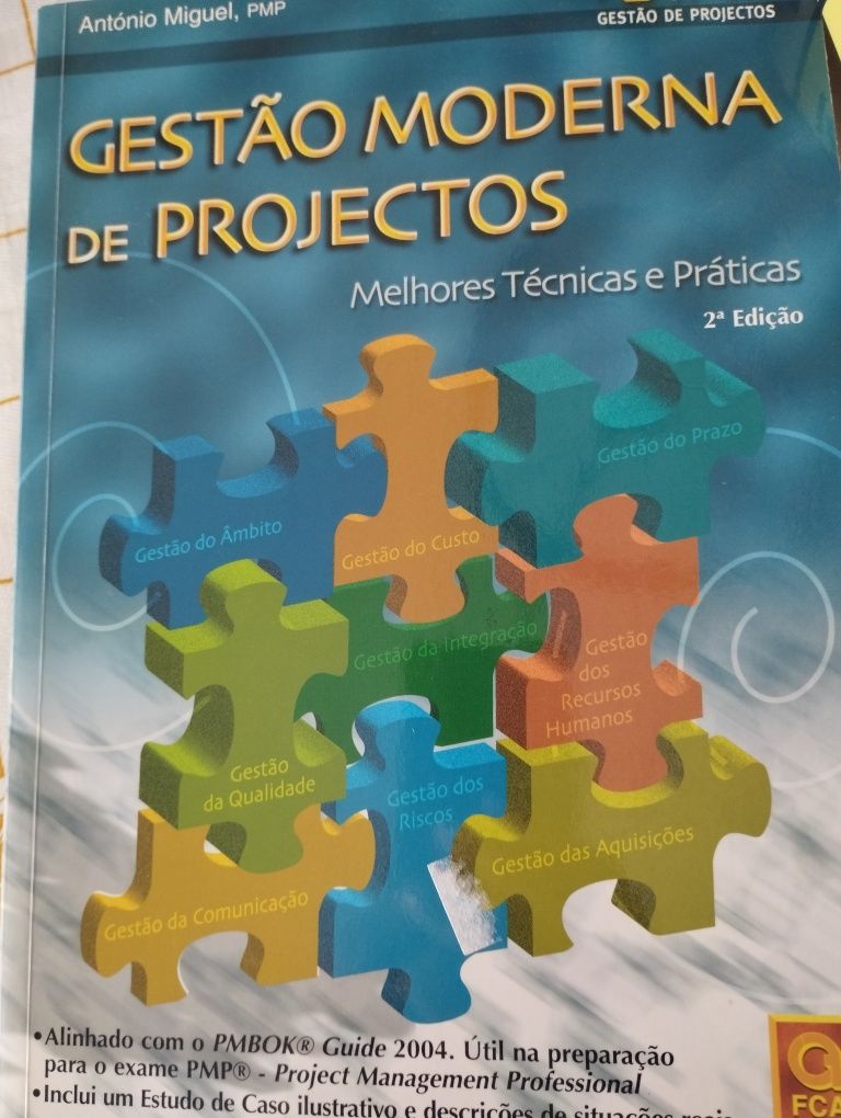 Gestão Moderna de Projetos: melhores técnicas e práticas