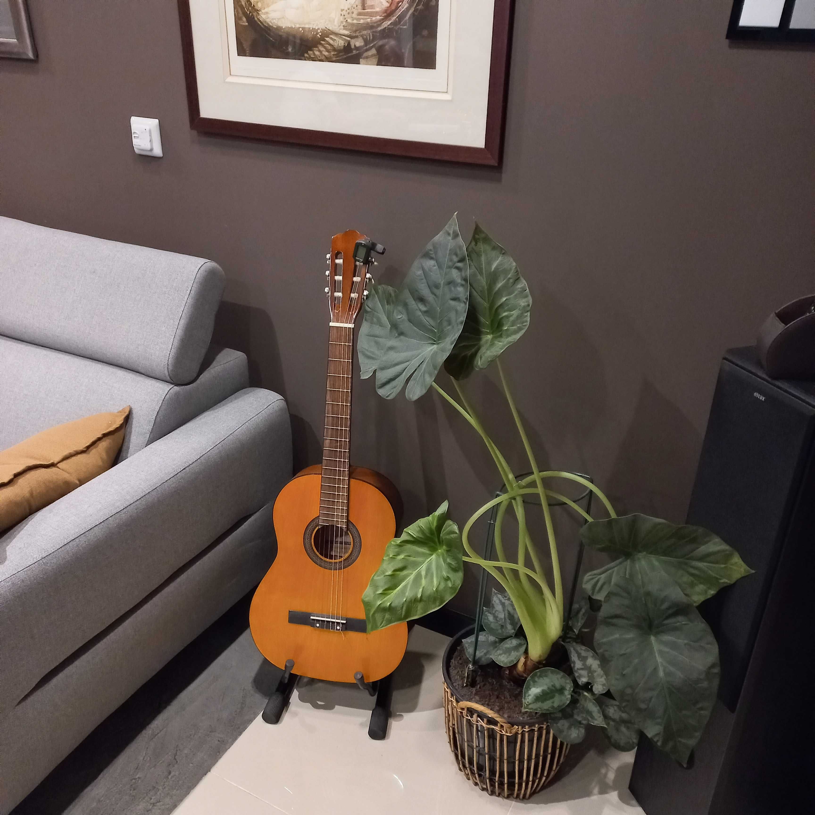 Gitara wraz ze stojakiem i stroikiem