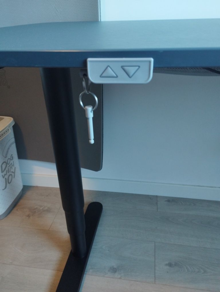Biurko Sit Stand IKEA Bekant 160x80 niebieskie elektrycznie regulowane