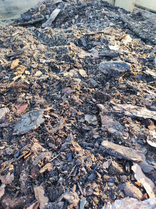 Kora sosnowa gruba i drobna