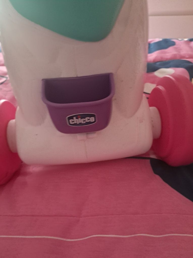 Cavalo da chicco
