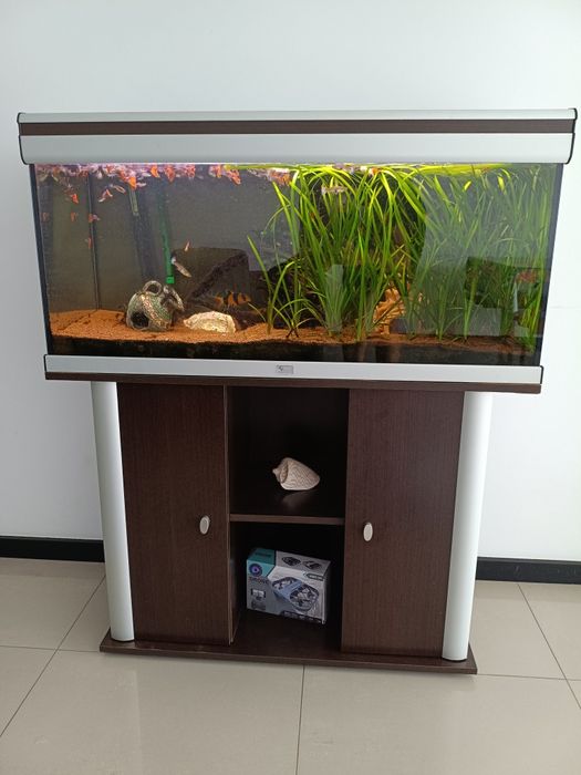 Aquário com movel completo de 200 litros