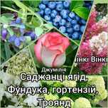 Ваш смачний сад — лохина, малина, фундук, троянди!