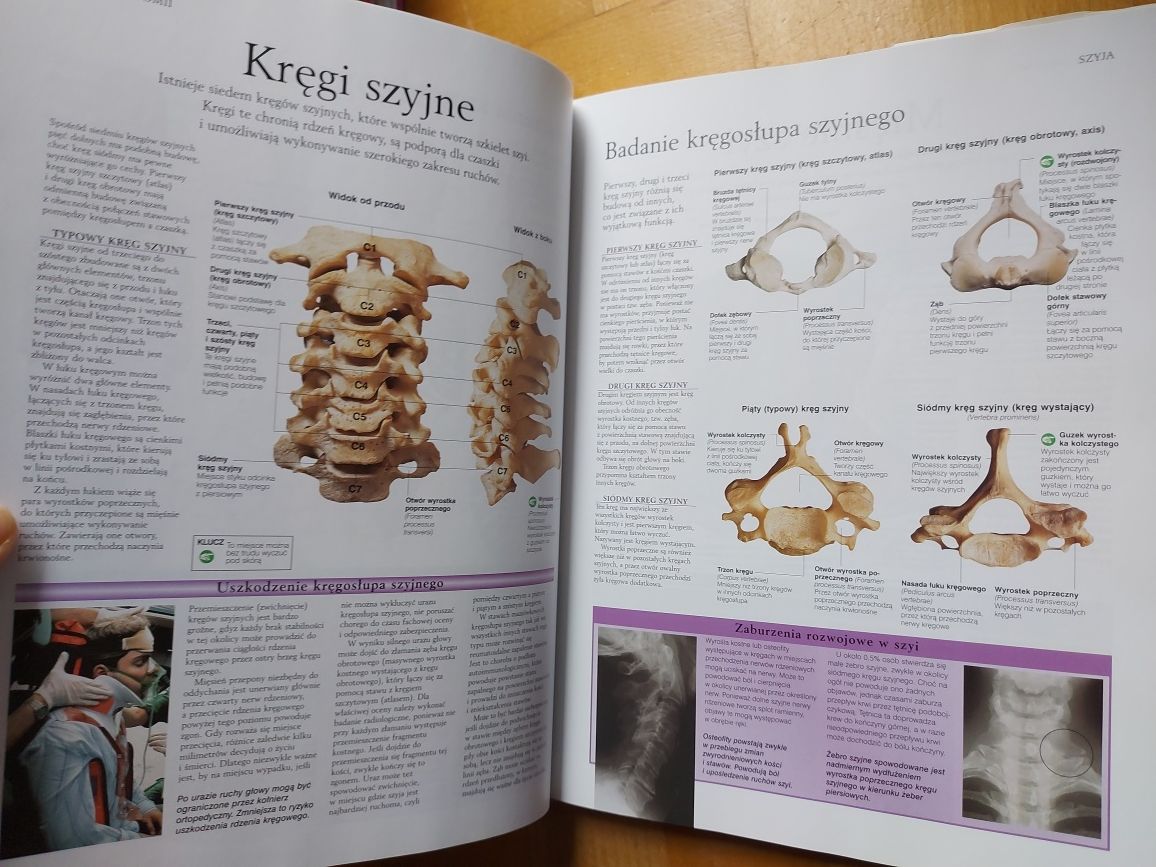 Atlas anatomii ciało człowieka budowa i funkcjonowanie Peter Abrahams