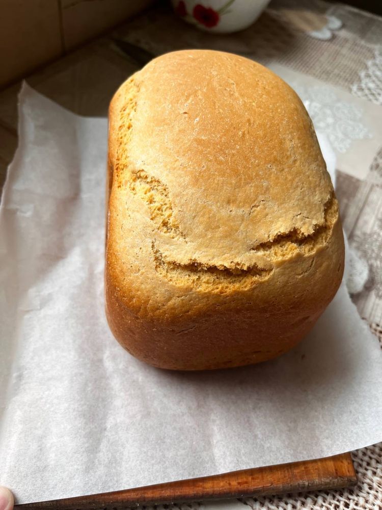 Хлебопеч Молінех, хлібопіч.  Хліб