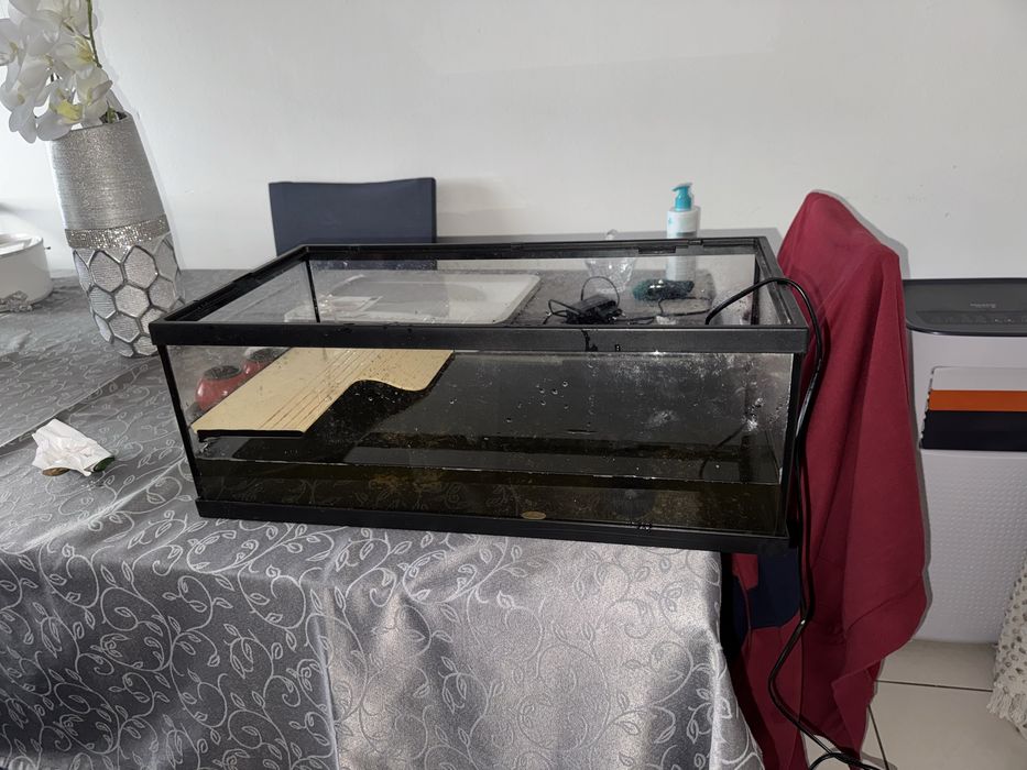 Aquario para tartarugas