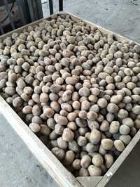 Ziemniaki Soraya kaliber od 40 do 50 mm