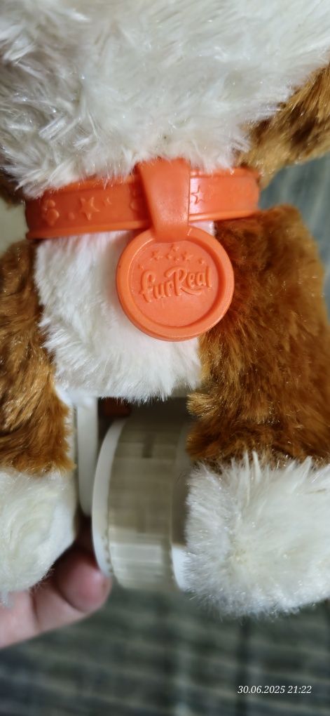 Інтерактивна іграшка Hasbro FurReal Friends щенок песик