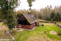 Siedlisko w m. Boruja Nowa
