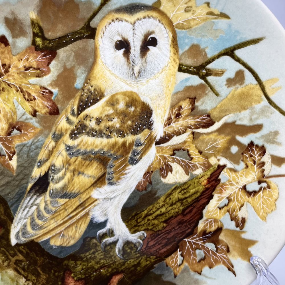 Porcelanowy talerz dekoracyjny sowa Płomykówka Coalport vintage