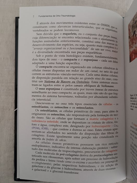 Livro "Fundamentos de Orto-Traumatologia para Técnicos de Saúde"