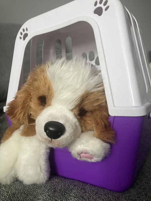 Piesek interaktywny Little Live Pets