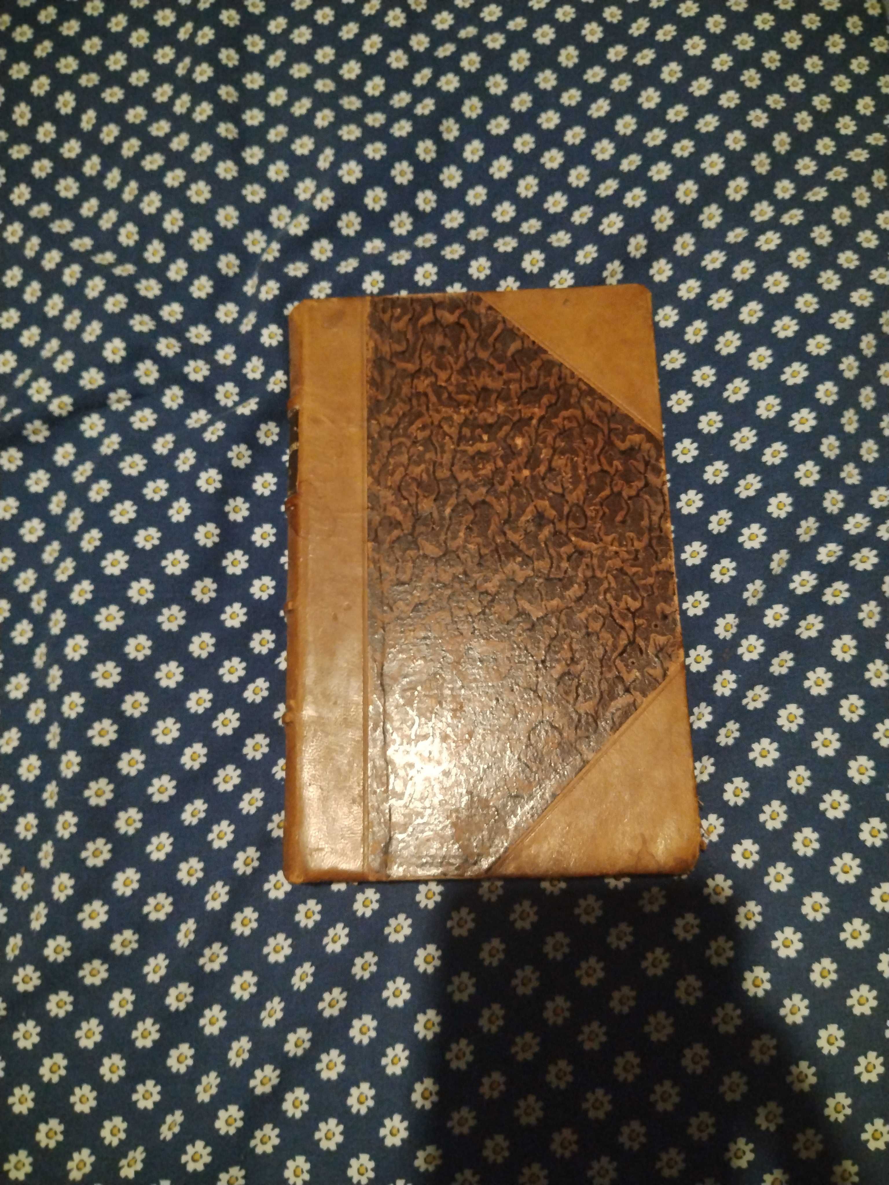 Livro Bulhão pato de 1883