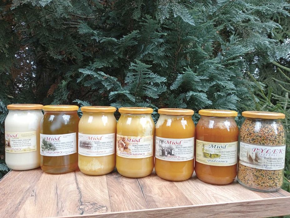Miód pszczeli z Borów Tucholskich
