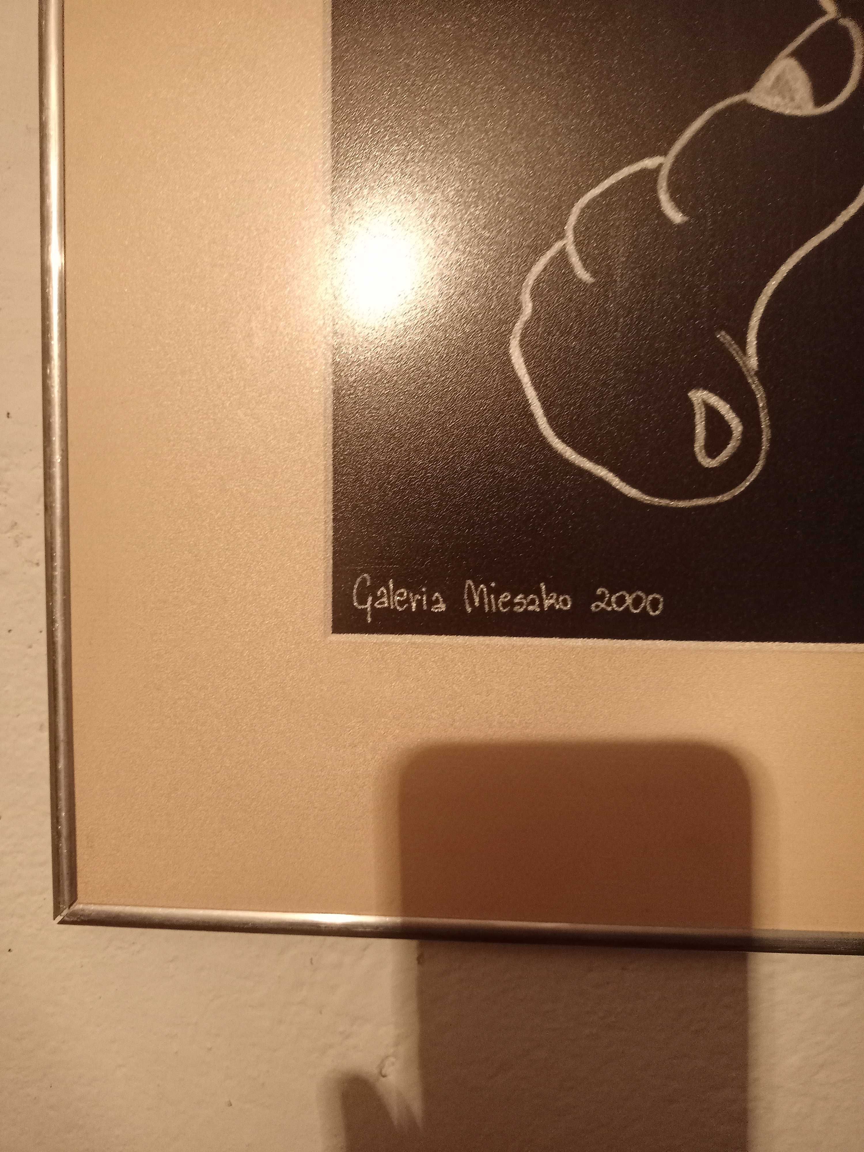 Karykatura konia w aluminiowej ramie.