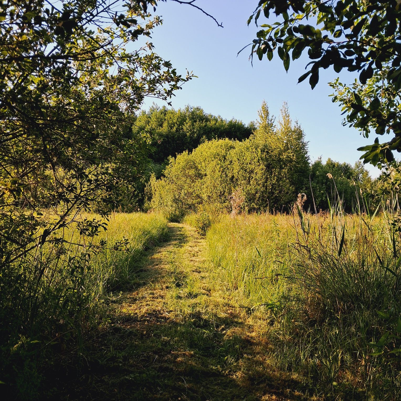 Pokoje do wynajęcia Dom nad Stawem Agroturystyka