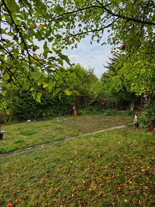 ROD Bemowo II działka rekreacyjna Warszawa 340m2