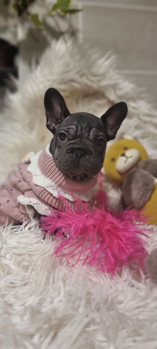 Дівчинка big rope velvet 2,5 міс