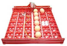 Tabuleiro chocadeira 36ovos grandes/144 peq. + motor 220 volts Novos