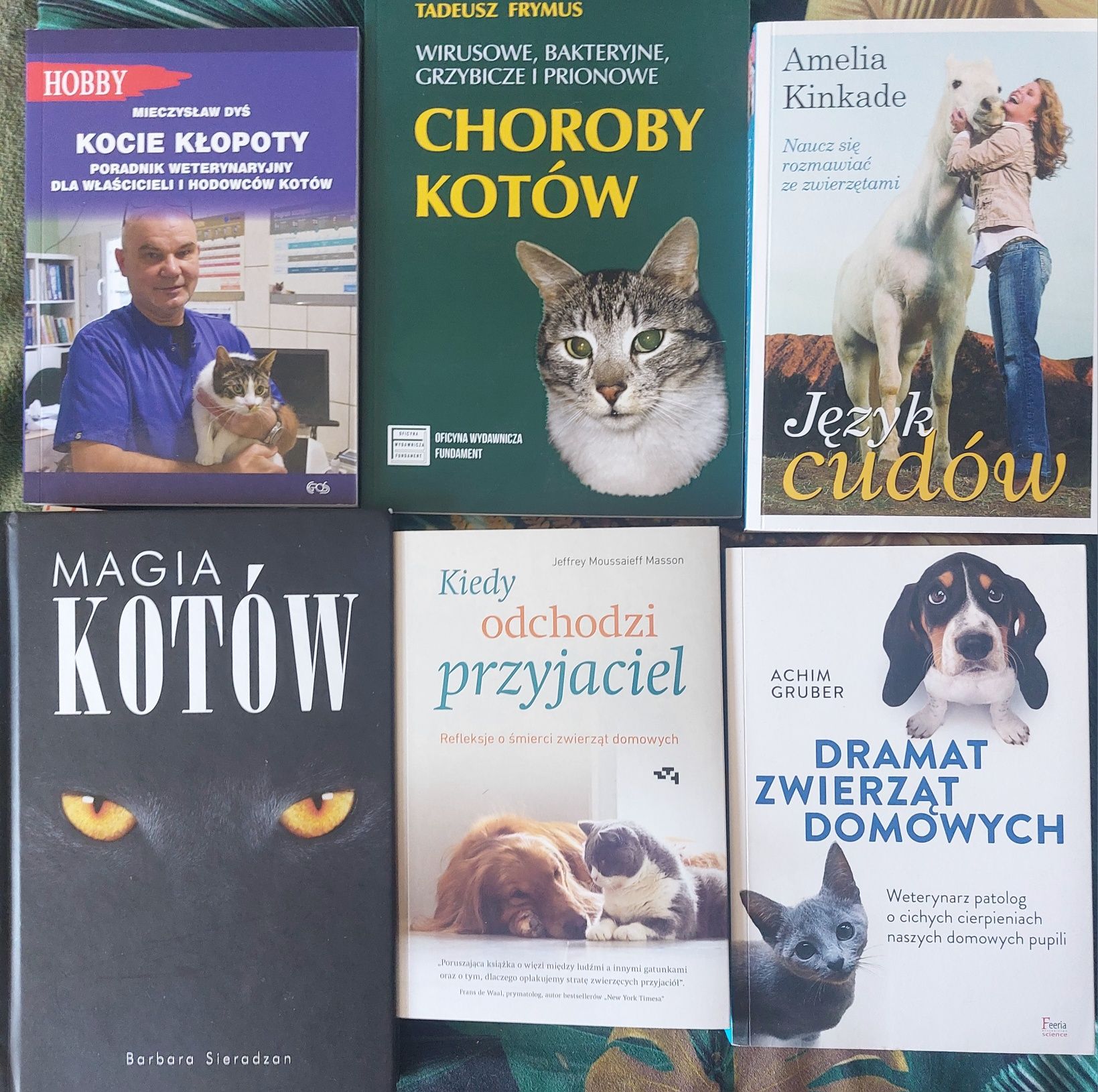 6 razy koty! Nowe, idealne!
