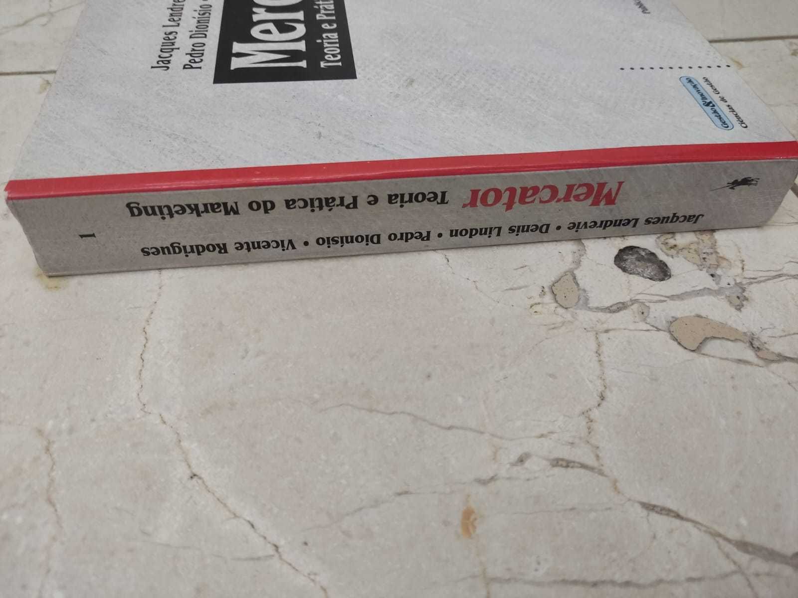 Teoria e prática de Marketing NOVO