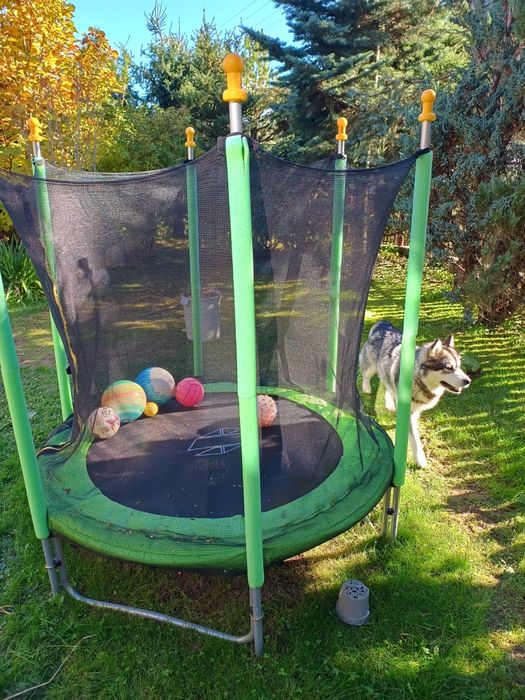 Trampolina Sapphire 140