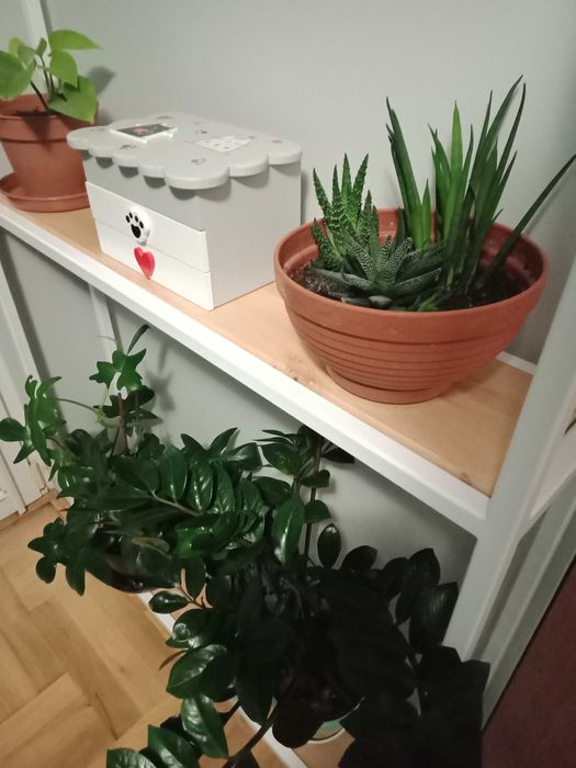 Metalowy stalowy stelaż do regałów półek do regału regały półki LOFT