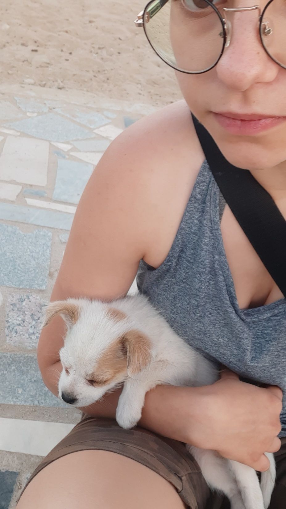 Dog walking/Pet Sitting
