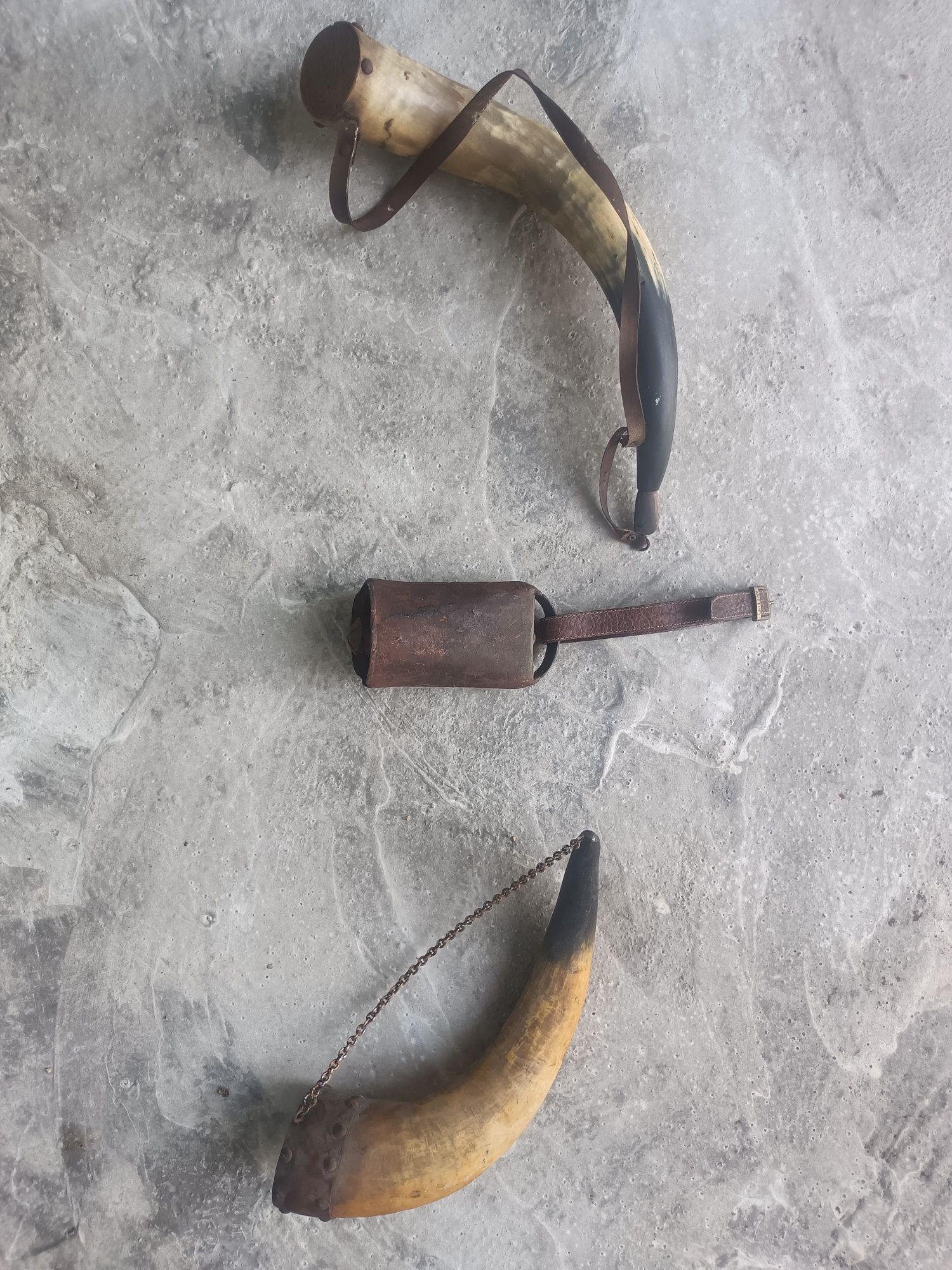 Cornos vários para decoração