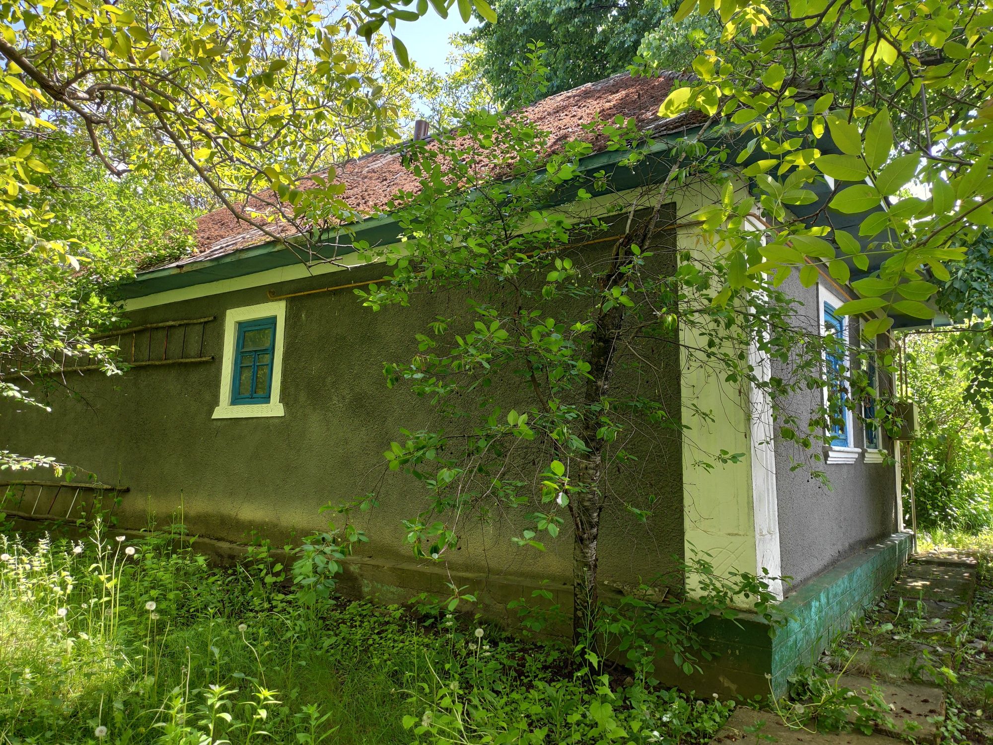 Будинок хата в с.Куражин, біля Дністра,велика земельна ділянка