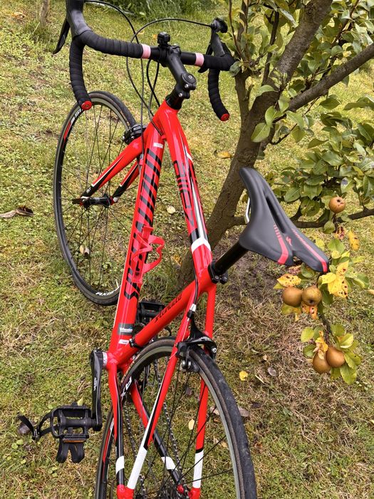 Specialized allez prosto po serwisie