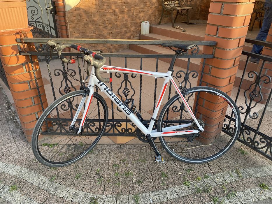 Rower szosowy indiana arrow