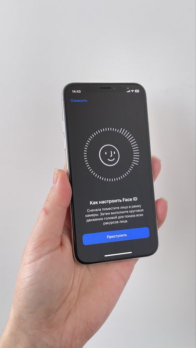 Iphone X 256 Gb Silver Neverlock