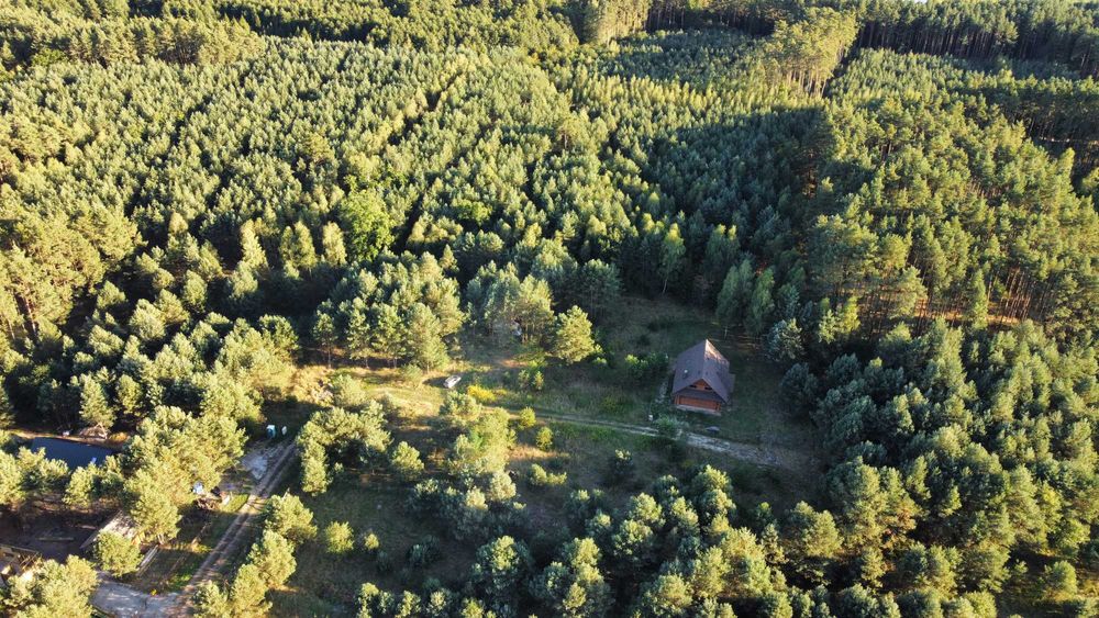 Malownicza Działka Budowlana Trzebnica/Czeszów gm. Zawonia 1953m