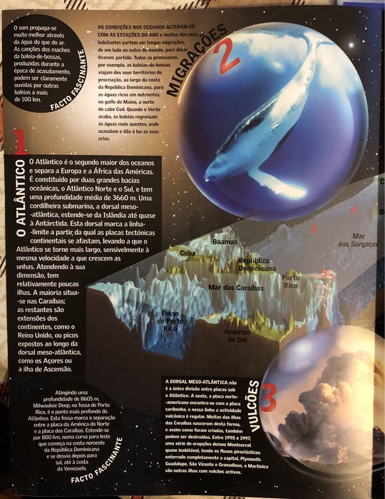 A Força dos Oceanos