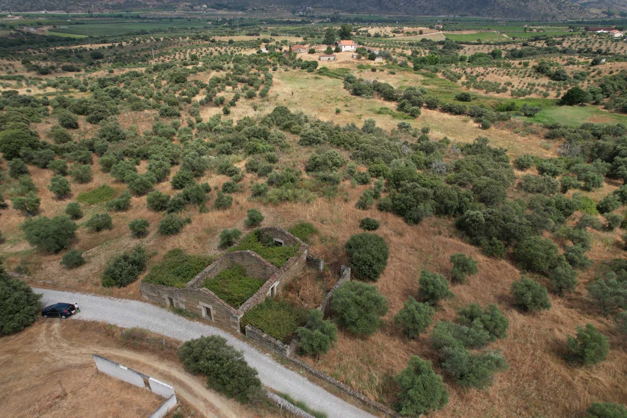 Terreno com 8 hectares, 2 Casas para reconstruir + poço e Olival