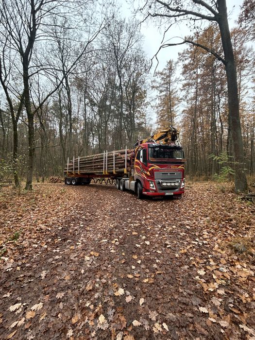 TRANSPORT DREWNA -usługi transportowe