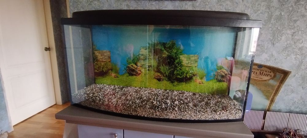 Аквариум 250 литров с крышкой