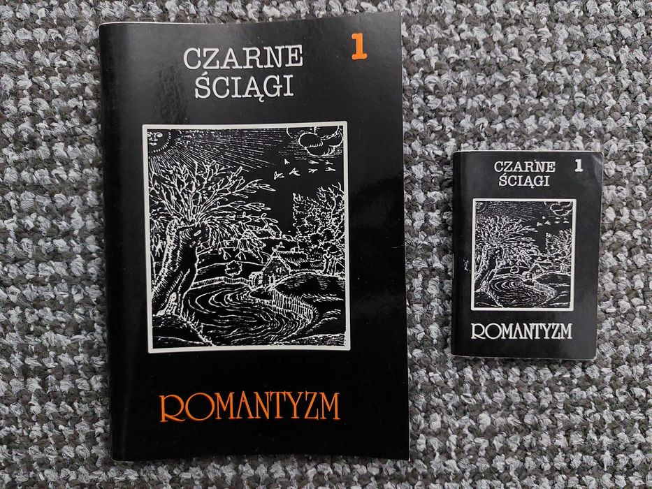 Język polski - Szkoła średnia liceum technikum matura