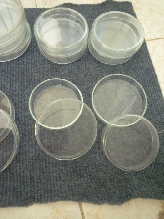 Placas de Petri  de vidro borosilicato 100mm,  80 mm, 70 mm