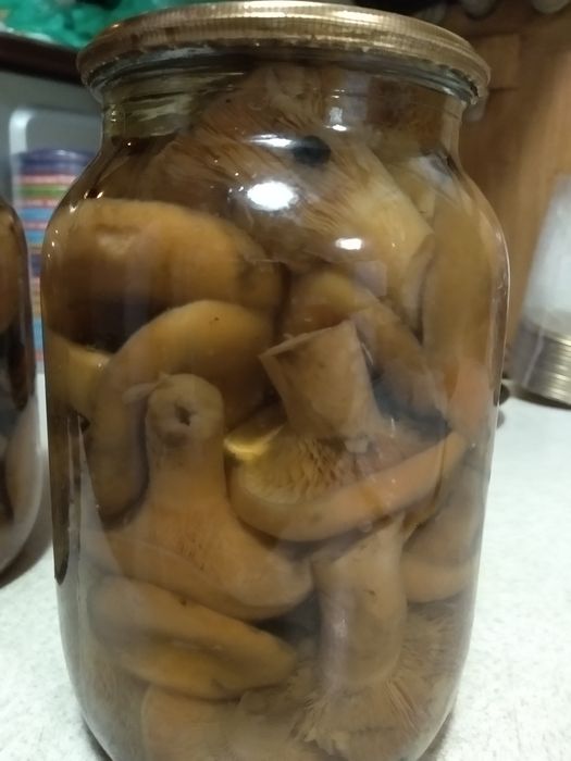 Продам грибы консервированые и сушеные.Лисички и белый гриб