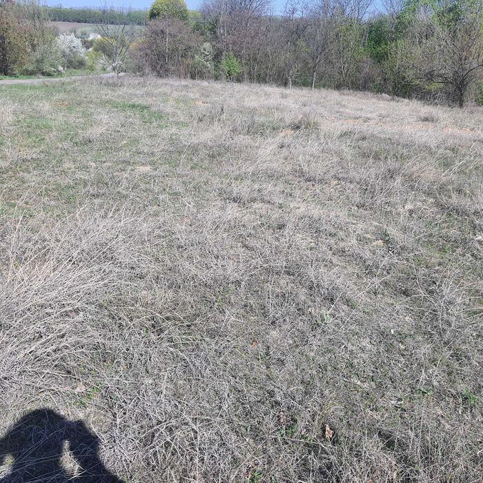 Земельный участок Цена 500$ за сотку